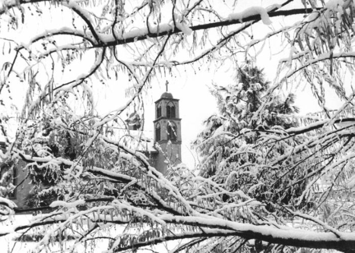 mission San Miguel Church in Socorro, New Mexico, framed by snow covered branches.
